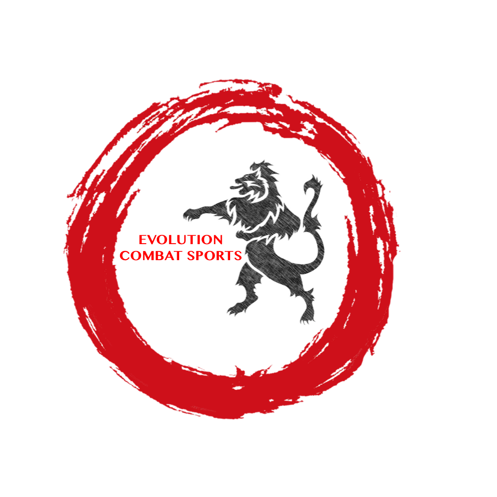 Evolution Combat Youth Martial Arts